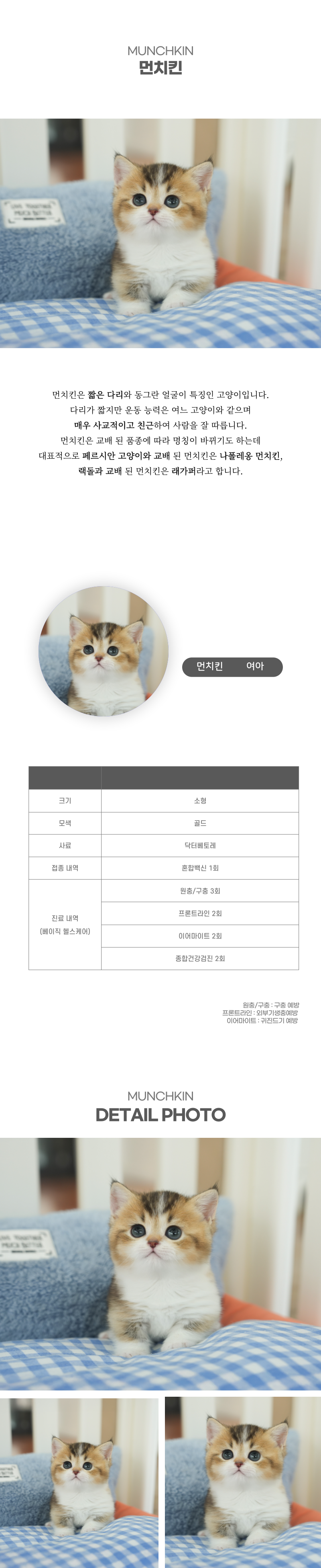먼치킨_상세이미지_2